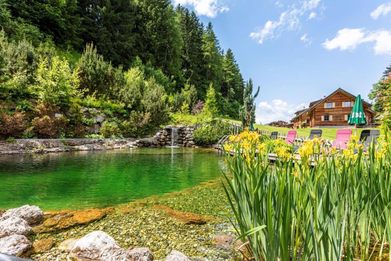 Huettendorf Schladming Luaran gambar